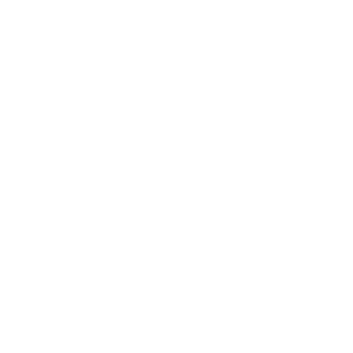 presentation